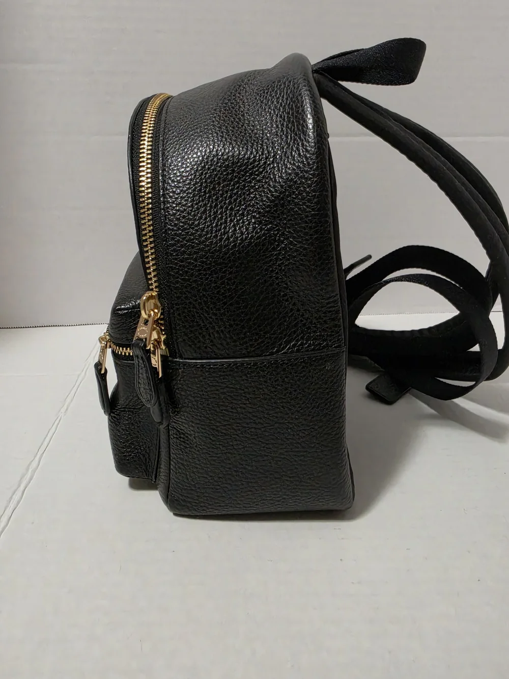 Coach mini small